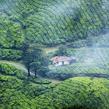 4N / 5D Thrissur-Athirapally-Munnar (2)-Thekkady (1)-Aleppey/Kumarakom (1)-Cochin-Thrissur