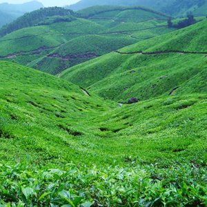  Munnar