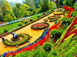  Ooty Tour  2 D 1 N Packages