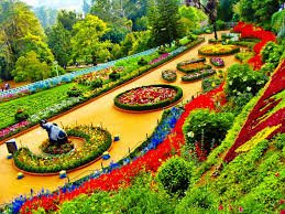 Ooty Tour  2 D 1 N Packages